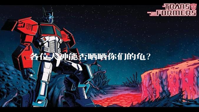 各位大神能否晒晒你们的龟？