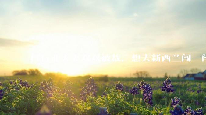 IT行业夫妻双双被裁，想去新西兰闯一闯可以吗？