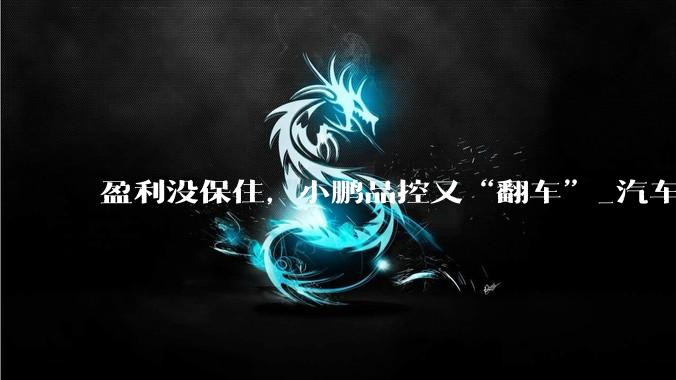 盈利没保住，小鹏品控又“翻车”_汽车_收入_服务