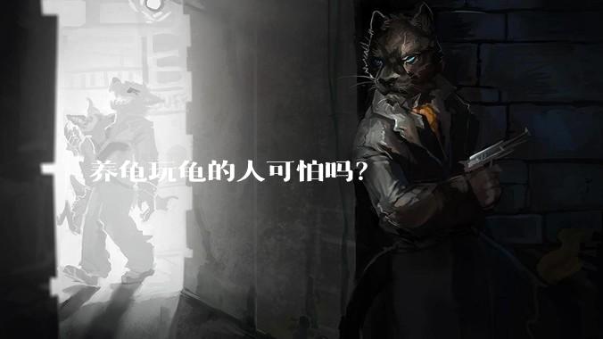 养龟玩龟的人可怕吗？